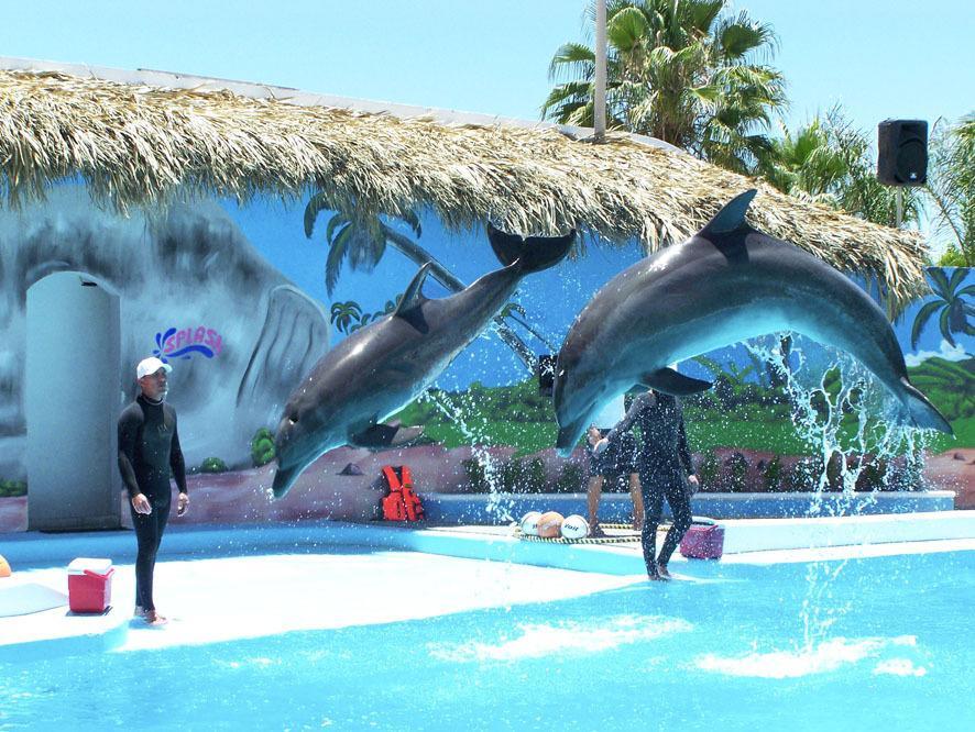 Hotel Splash Inn Silao Exterior photo